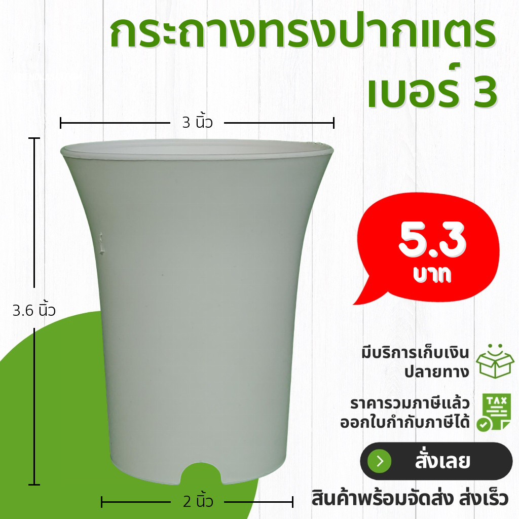 #กระถางสีขาวดำ #กระถางสองสี #กระถางเซรามิก #กระถางต้นไม้ #กระถางต้นเล็ก