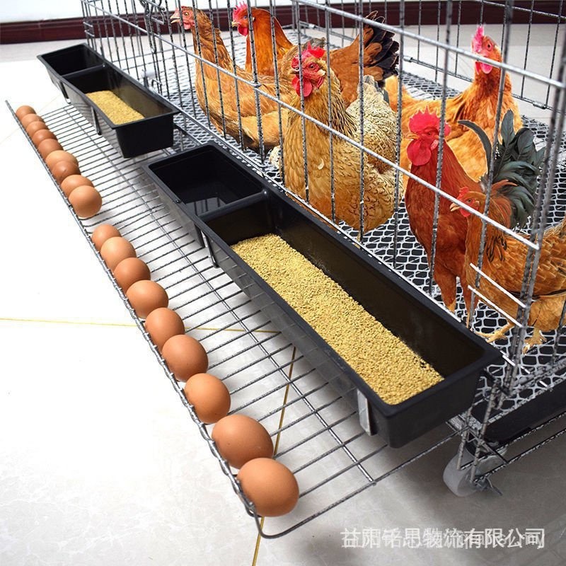 กรงไก ่ Kandang Ayam ในครัวเรือนขนาดใหญ ่ Breeding Cage การขนส ่ งนกกระทากรงเป ็ ด Coop Goose Cage สําหรับไข ่ ไก ่ ไข ่ อัตโนมัติ Rolling ไก ่ D5E1