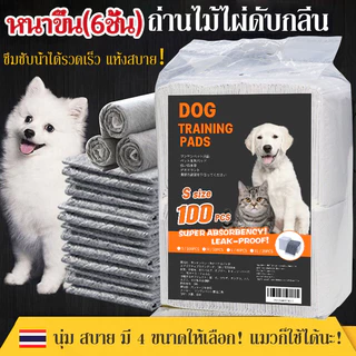แผ่นรองฉี่สุนัข🐶ชาร์โคล(หนาขึ้น) รุ่นชาโคล แผ่นรองฉี่แมว ช่วยฝึกขับถ่าย การดูดซับน้ำ6ชั้น ระงับกลิ่นได้ดี