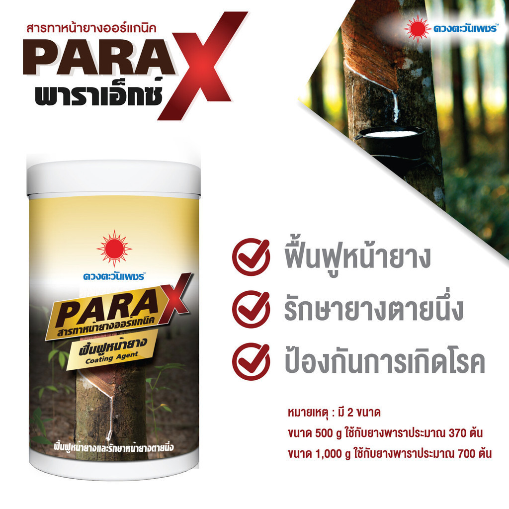 สารทาหน้ายางพารา - พาราเอ็กซ์ -ตราดวงตะวันเพชร(รักษาหน้ายางแก้หน้ายางตายนึ่ง)ขนาด500กรัมดวงตะวันเพชร