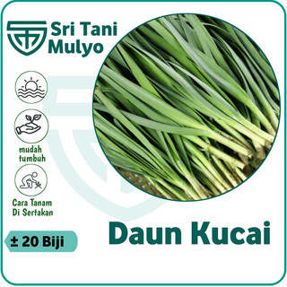 20 Biji - Benih Kucai Import NIEN HWA - Bibit Sayur Sayuran Daun Kucai Bawang dau Cai Benih Sayuran