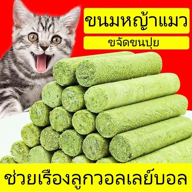 พร้อมส่ง ขนมหญ้าแมว 60ราก ไม้ขัดฟัน ช่วยขัดฟัน ต้นอ่อนข้าวสาลี ดีต่อสุขภาพ เพื่อสุขภาพช่องปาก