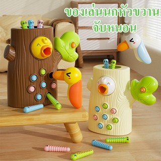 ของเล่นนกหัวขวาน นกฮูก จับหนอน ของเล่นเสริมการเรียนรู้เด็ก ข…
