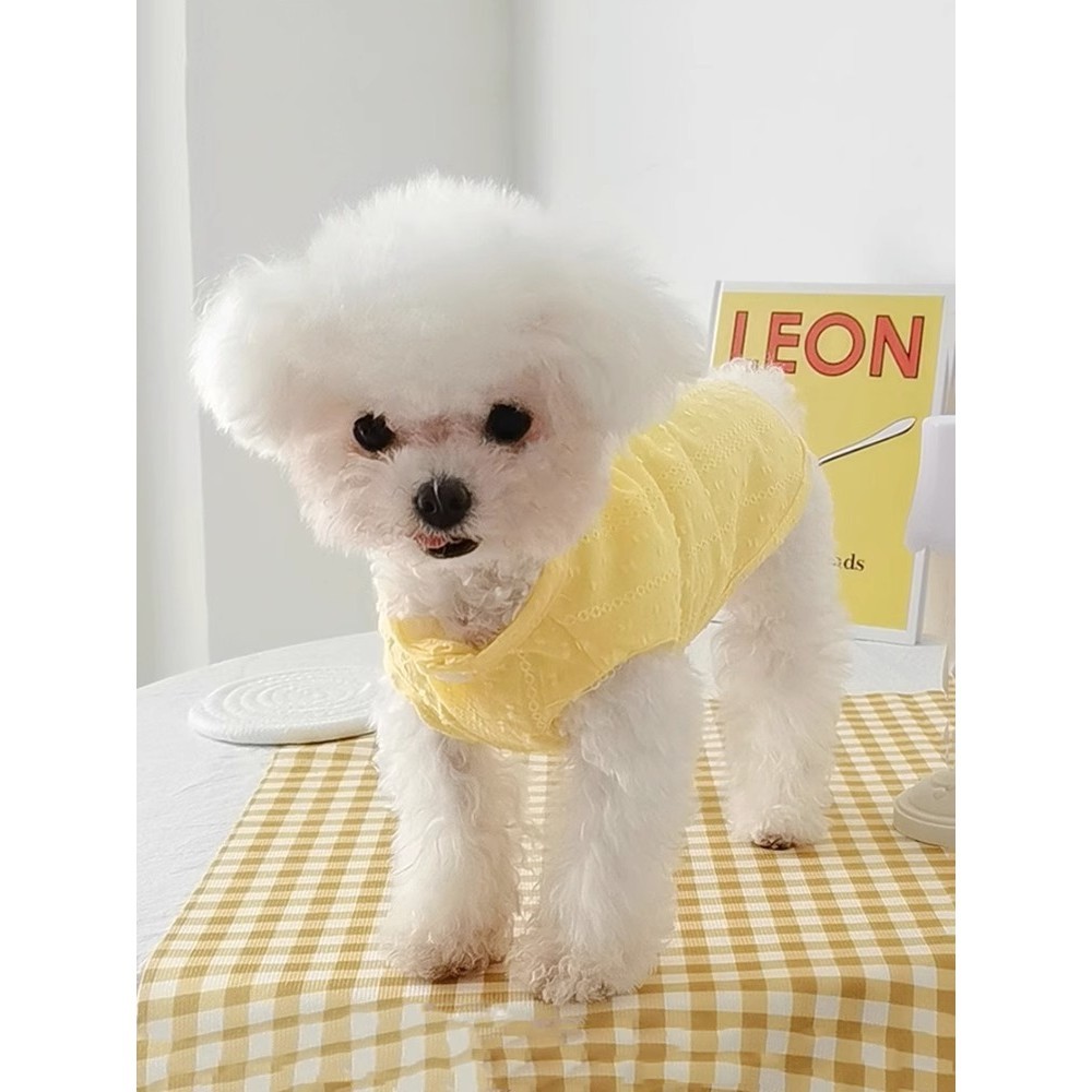 Dog clothes thin teddy bear summer cotton vest puppy small dog pet spring and autumn summer sun protection