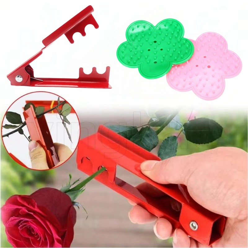 กรรไกรดอกไม้ Rose Stripper Thorn Remover เครื่องมือสวนถุงมือชุดสวนมือเครื่องมือ