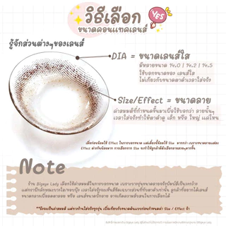💥[ แถมตลับ Food grade ] Dawn (Brown) ค่าสายตา 0.00-10.00 คอนแทคเลนส์