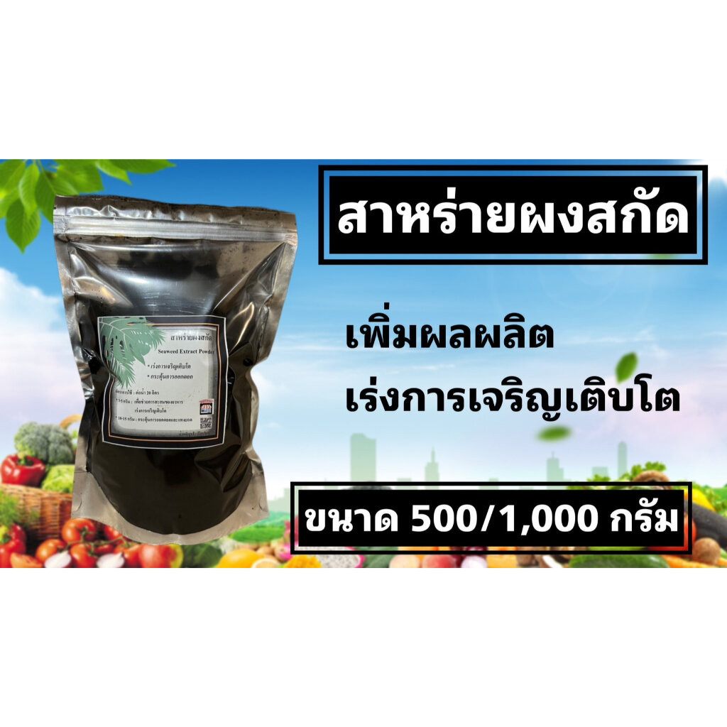 สาหร่ายผงสกัด ปุ๋ย​สาหร่ายพืช Seaweed extract powder ผงสีดำ ขนาด 500/1,000 กรัม