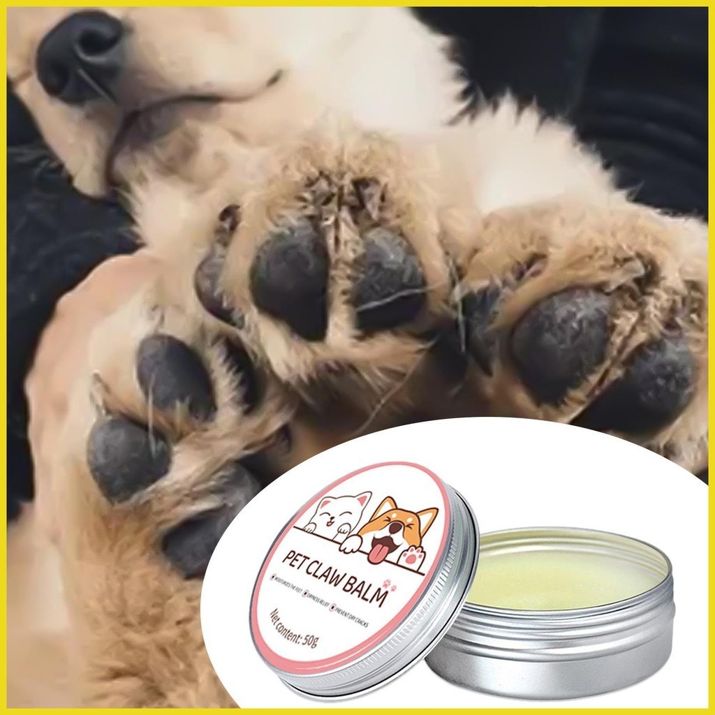 Paw Balm ครีมบํารุงจมูก ให้ความชุ่มชื้น 50 กรัม อุปกรณ์เสริม สําหรับสัตว์เลี้ยง สุนัข