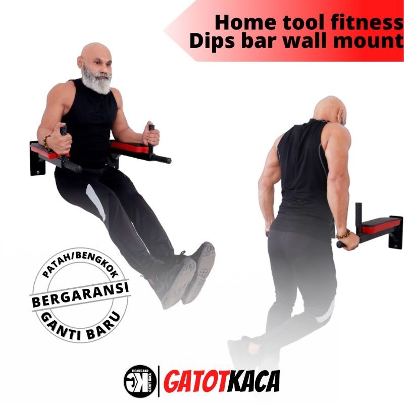 [366SH] DIPS BAR / KNEE RAISE BARS / TRICEPS LEG RISE GYM