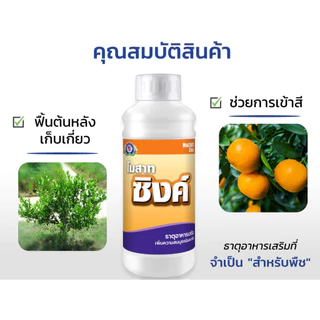 โมสาท ซิงค์ สังกะสี Zn 10% (ฟื้นต้นไว ใบเขียวสม่ำเสมอ ใบหนาเป็นมัน) │เทพวัฒนา ตราปลาคู่│