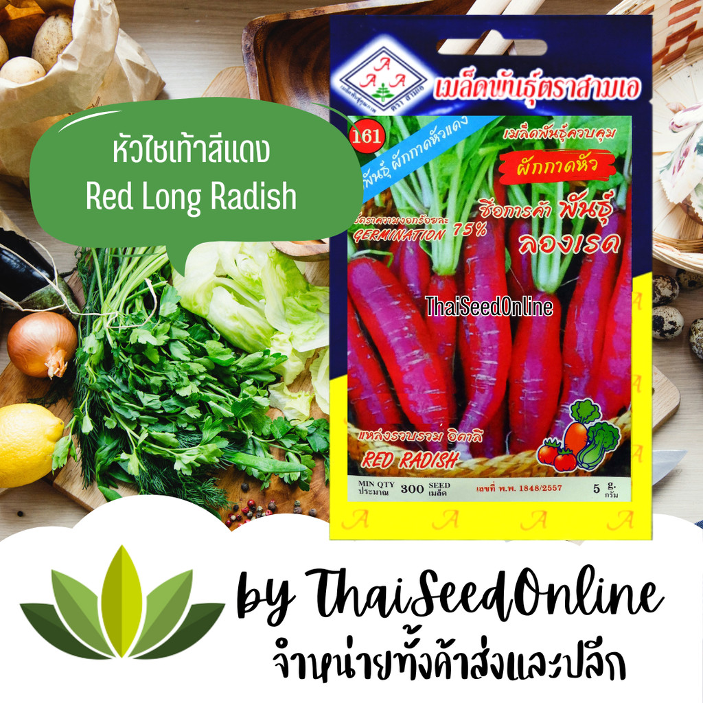 3A เมล็ดพันธุ์ หัวไชเท้า สีแดง ไชเท้าแดง ผักกาดหัวสีแดง ตราตองสาม （333）เครือสามเอ (AAA）