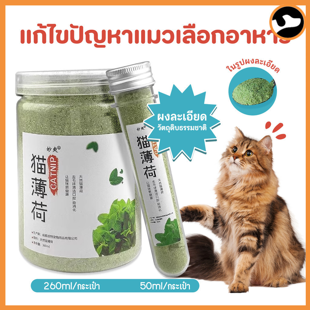 😺แคทนิปแมว กัญชาแมว แบบผงบดละเอียด จาก catnip 100% หญ้าแมวบำรุงแมวอ้วน ตำแยแมว ราคาถูก