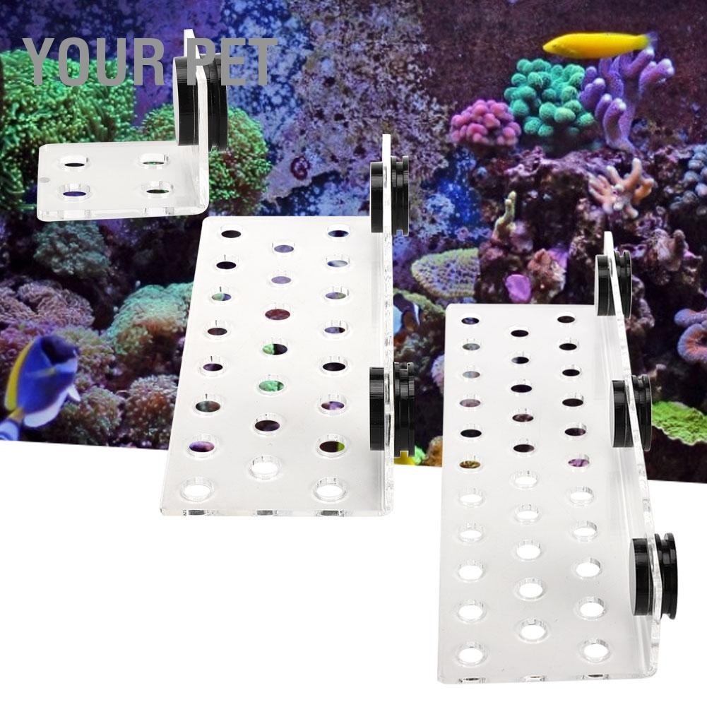 Your Pet พิพิธภัณฑ์สัตว์น้ำ ตู้ปลา Coral Rack Bracket อะคริลิคดูด Frag