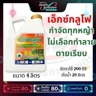 เซ็ต 3 แกลลอน * เอ็กซ์กลูโฟ 4 ลิตรกลูโฟซิเนต แอมโมเนียม กำจัดทุกส่วนของวัชพืชที่เป็นสีเขียว ใบแคบ ใบกว้าง ระยะปลอดฝนสั้น