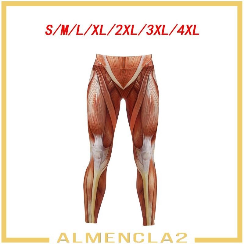 [Almencla2] กางเกงเลกกิ้ง เอวยางยืด พิมพ์ลายกล้ามเนื้อ สําหรับผู้หญิง ใส่ออกกําลังกาย วิ่ง