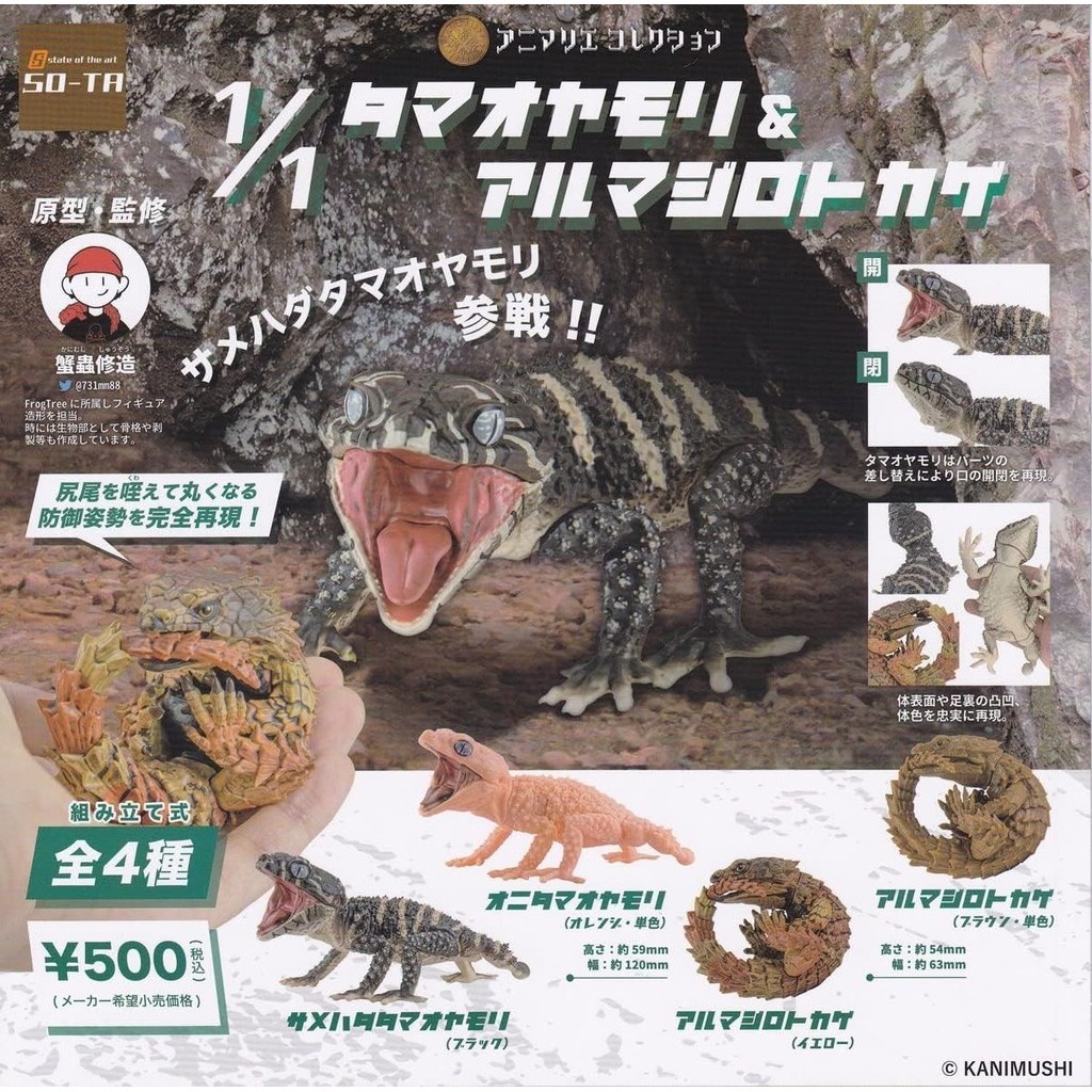 Animalier Collection 1/1 Tamao Gecko & Armadillo Lizard [ชุด 4 ประเภท (ครบชุด)] Gacha Gacha ของเล่นแ