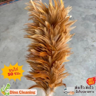 ไม้ปัดขนไก่อย่างดี ไซส์จัมโบ้ XL 75,70,60,50,40 ขนแน่นหนาฟู ไม่หลุดร่วงง่าย ด้ามจับแข็งแรง