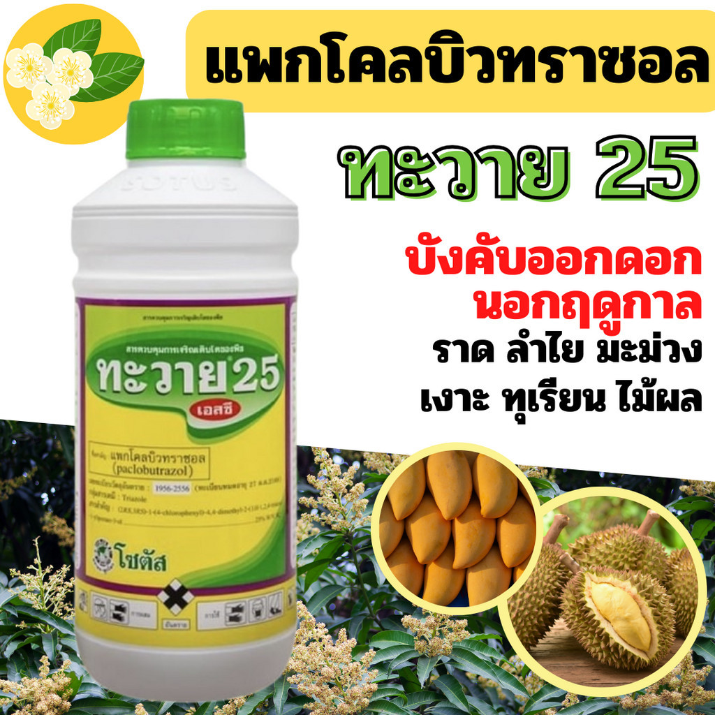 [โซตัส] ทะวาย 25% สารทำดอก นอกฤดู สารทุเรียน สารมะม่วง ทุเรียนทำสาร นอกฤดู 1 ลิตร