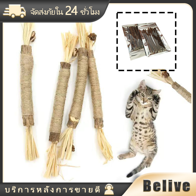 ไม้ขัดฟันแมว แคทนิป ของเล่นสัตว์เลี้ยง 22CM ของเล่นแมว
