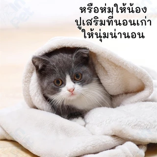INPET ผ้าห่มกำมะหยี่ L/XL ผ้าห่มสัตว์เลี้ยง ผ้ารองนอน สุนัข แมว ที่นอนสุนัข ที่นอนแมว (คละสี)