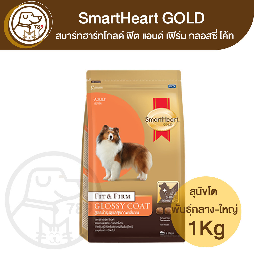 Smartheart Gold Fit & Firm Adult 20 kg สมาร์ทฮาร์ท ฟิตแอนด์เฟิร์ม อาหารสำหรับสุนัขโต พันธุ์กลางถึงพันธุ์ใหญ่ ขนาด 20 กก.