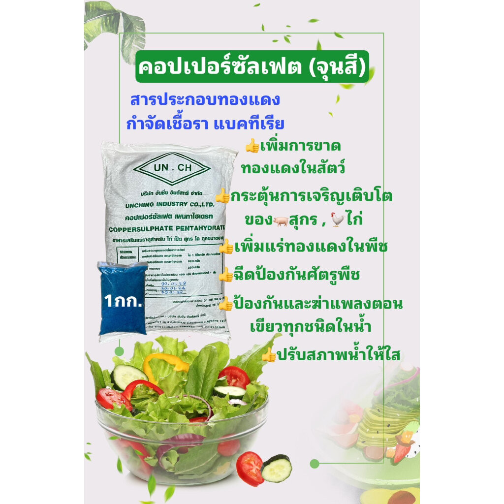 คอปเปอร์ซัลเฟต ผงจุนสี / Copper sulfate pentahydrate ขนาด 500 / 1,000 กรัม