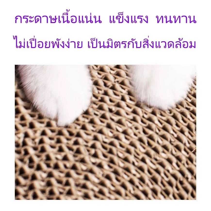 ที่ลับเล็บแมว โซฟากระดาษลูกฟูก แบบ 2 ด้าน ทนทาน thumbnail 7