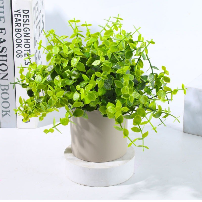 รูปภาพ 5