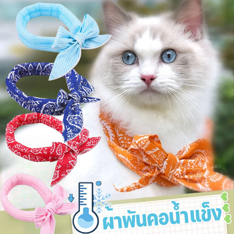 ผ้าพันคอเจลเย็นสัตว์เลี้ยง ปลอกคอสัตว์ Pet Ice Towel ผ้าพันคอน้ำแข็ง ผ้าเย็น ระบายความร้อน แมว สุนัข