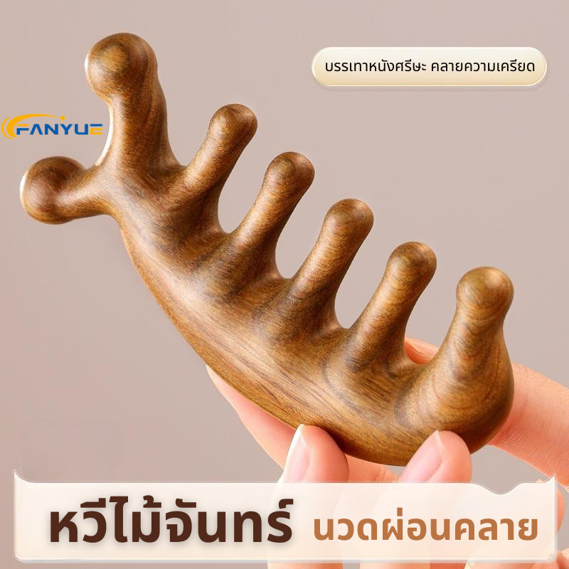 สินค้าพร้อมส่ง! หวีไม้จันทร์ หนังศรีษะ หวีนวดผมผ่อนคลาย ป้องการไฟฟ้าสถิตย์ สําหรับผู้ชาย และผู้หญิง หวีกัวซาJD025