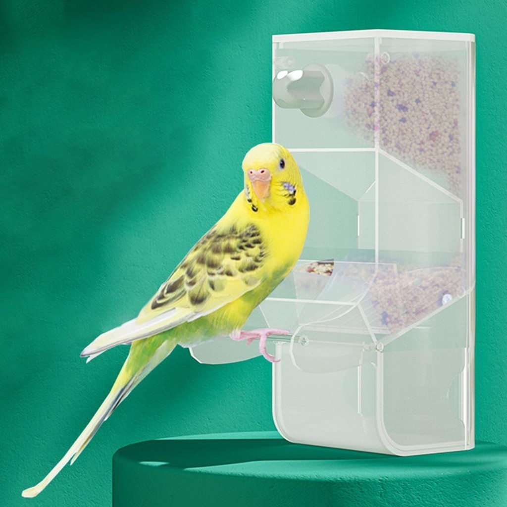 [Tachiuwa21] กล่องใส่อาหารนกขมิ้นอัตโนมัติ สําหรับนกขมิ้น นกขมิ้น นกขมิ้น