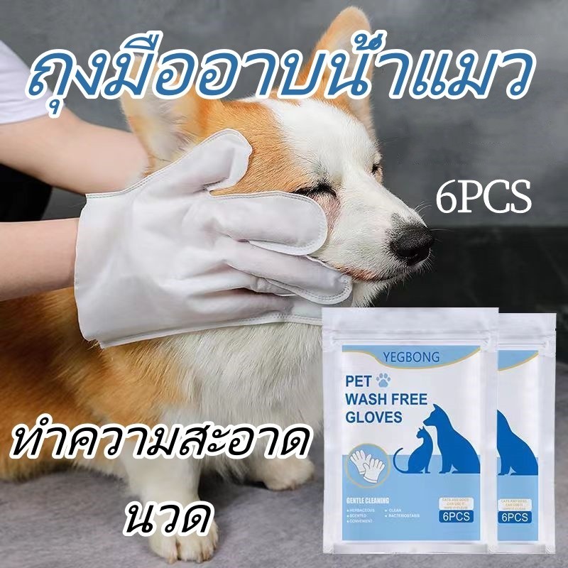 💦ถุงมืออาบน้ำแมว ถุงมืออาบน้ำสุนัข ถุงมือสัตว์เลี้ยงแบบใช้แล้วทิ้ง  ดูแลผิวสุนัขและถุ แมว สุนัข ทิชชู่เปียกเช็ดตัว