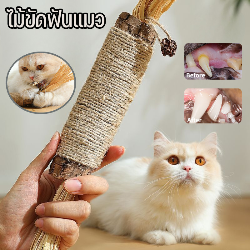 😻พร้อมแล้ว😻อันใหญ่มาก ไม้มาทาทาบิ ไม้ขัดฟันแมว ของเล่นแมว ไม้แปรงฟันแมว ลดคราบหินปูน