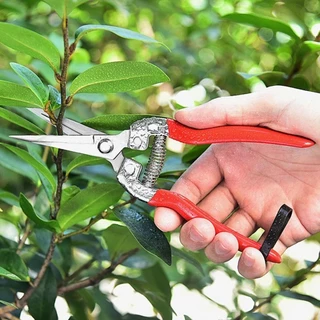 DAPHNE 1 ชิ้นสวนกรรไกร,มือ Pruner Florist กรรไกรเครื่องมือตัดแต่งกิ่งต้นไม้เฉือน,ตรงสวน Leaf Trimmer Micro-Tip ตัดแต่งกิ่ง Snips