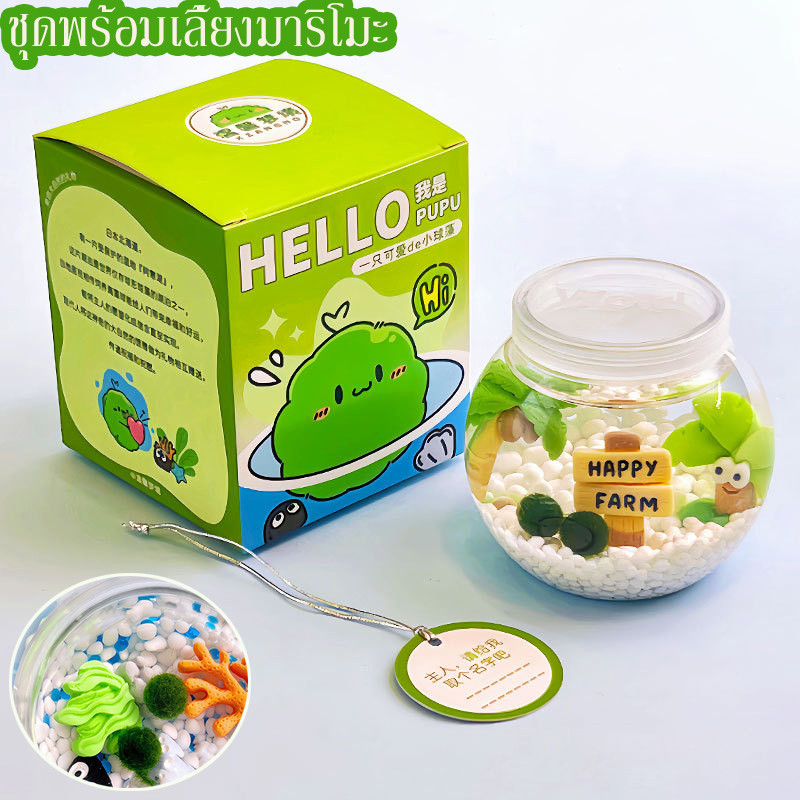 COD มาริโมะ เซ็ทพร้อมขวดแก้ว Marimo ของแท้