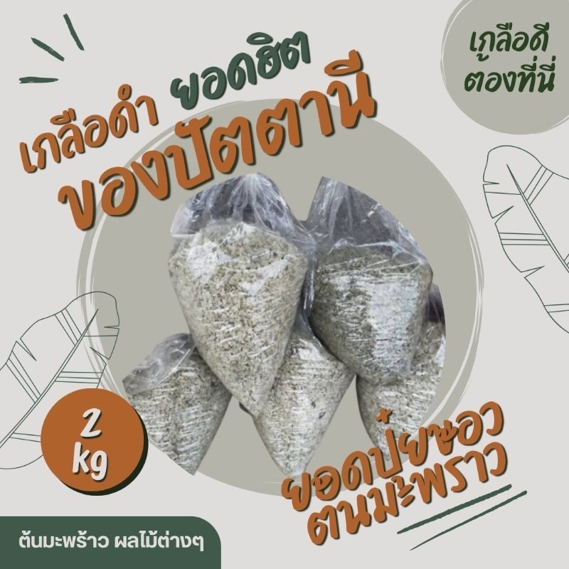 2 กิโลกรัม เกลือดำ เกลือหวาน เกลือทะเล ปัตตานี ผสมปุ๋ย สำหรับใส่ต้นมะพร้าว ต้นไม้ ผลไม้เพื่อปรับดินและให้ผลไม้มีรสหวาน