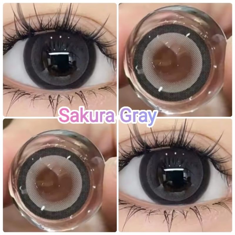 คอนแทคเลนส์ รุ่น Sakura/Edge สีเทา/ตาล Gray/Brown