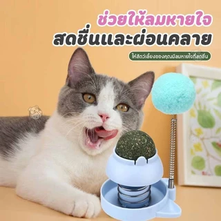 ลูกบอลแมว ไม้ตกแมว 2in1แคทนิปบอล ติดกำแพง ไม่กลิ้งหาย catnip ball ของเล่นแมว OO