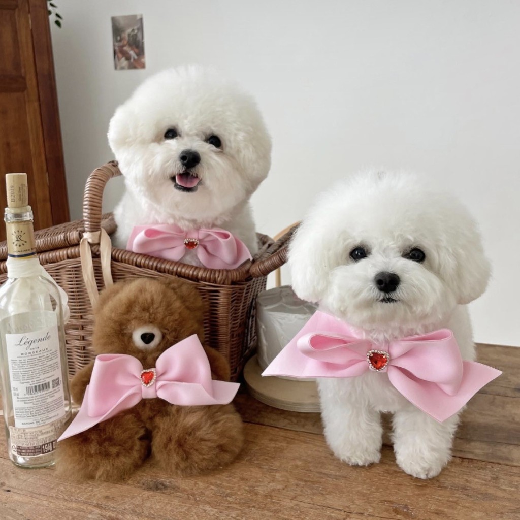 Pet Bow Tie Collar Dog Cat น่ารักตกแต่ง Hairpin Collar-YX-SP