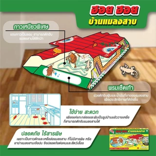 อาท ฮอย ฮอย บ้านแมลงสาบ และดักจิ้งจก กาวดักแมลงสาบและจิ้งจกพร้อมเหยื่อสำเร็จรูป