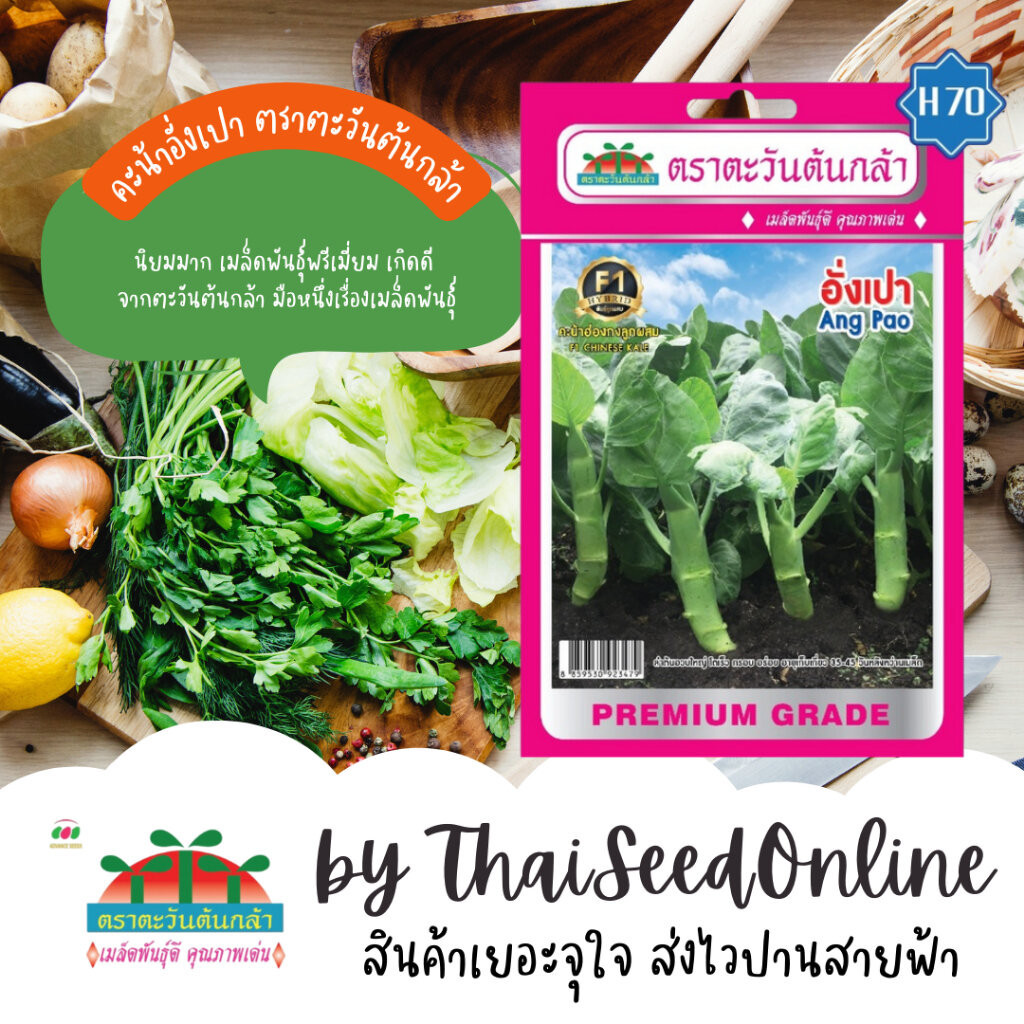 Advance Seeds(ตราตะวันต้นกล้า) ADVF1 ซฟ เมล็ดพันธุ์ลูกผสม คะน้าฮ่องกง อั่งเปา ปริมาณ 3กรัม ตราตะวันต้นกล้า H70 Chines...