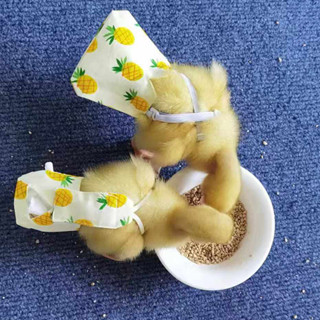 ไก่เป็ดผ้าอ้อมสัตว์เลี้ยงอึผ้าอ้อมกระเป๋าเป็ดน้อยไก่นกแก้วเจ…