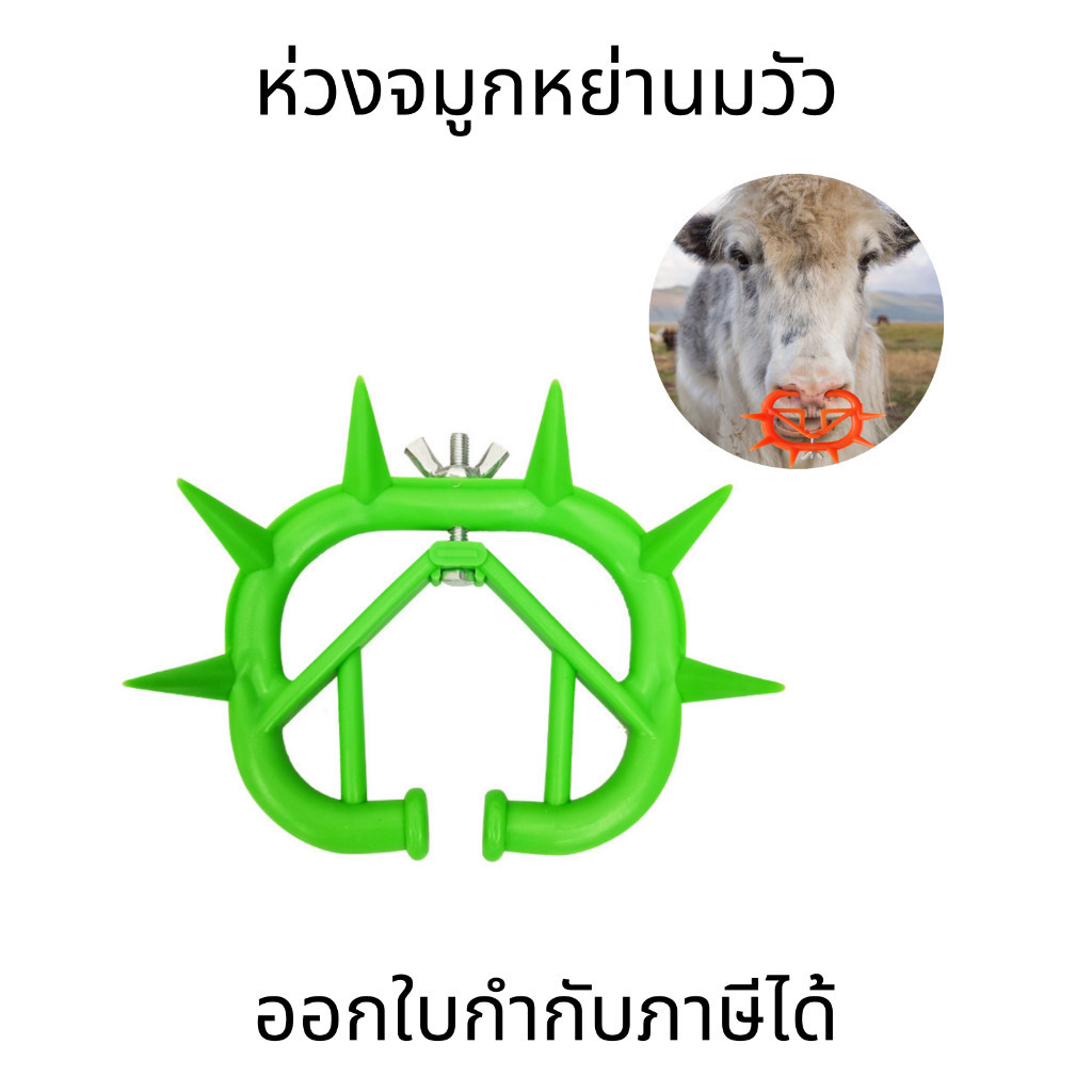 ห่วงจมูกหย่านมวัว ห่วงใส่จมูกพลาสติก หย่านมแหวนรูปแหลมป้องกัน Suckling คุณภาพสูงปลอดภัยปลอดสารพิษ