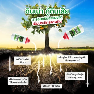 #ดินเน่า ขนาด 1 ลิตร กู้ดิน ดินกระด้าง ช่วยให้พืชโตเร็ว ใบเขียว แข็งแรง ช่วยฟื้นฟูต้นโทรมให้กลับมามีชีวีตชีวา