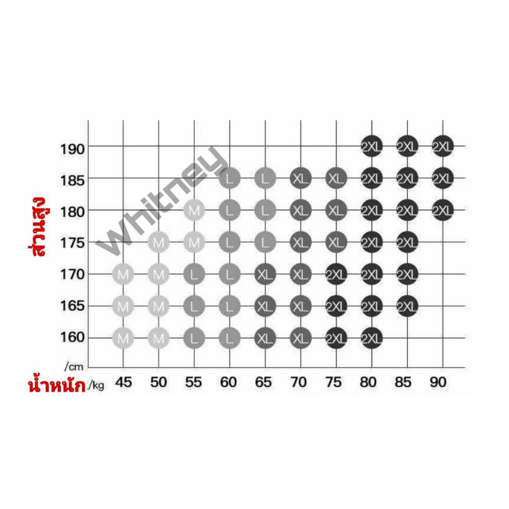 🔥กางเกงในผู้ชาย Champion เนื้อผ้านุ่ม ✨ กางเกงใน Champion