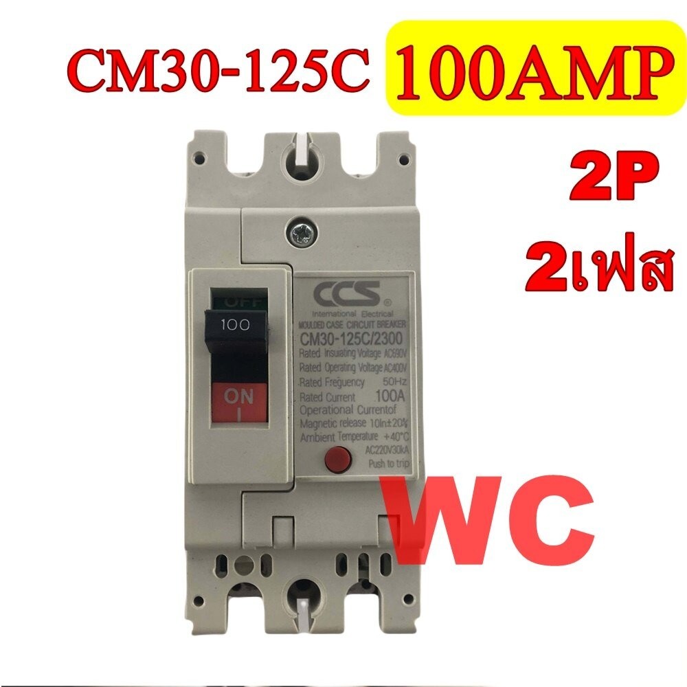 CCS เบรกเกอร์ เบรคเกอร์ รุ่นCM30-125  2P6 3A 2P 100A 100แอมป์  เบรกเกอร์ไฟฟ้า  CCS 1ตัว 100AMP 2เฟส