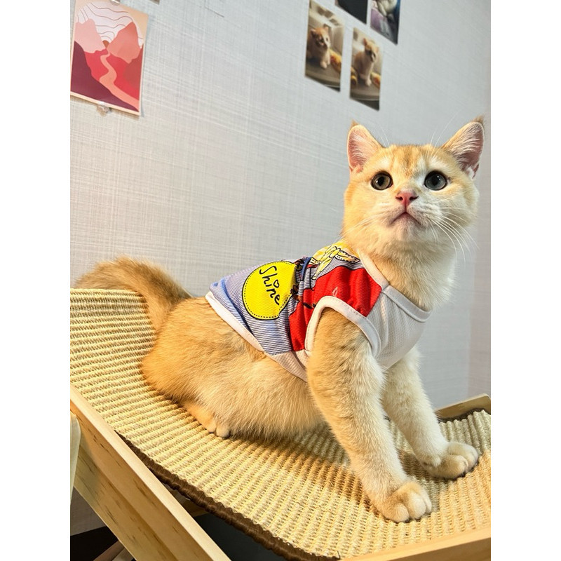 เสื้อสกีนสัตว์เลี้ยง ลายสวย เสื้อสัตว์เลี้ยงน่ารัก พร้อมส่ง