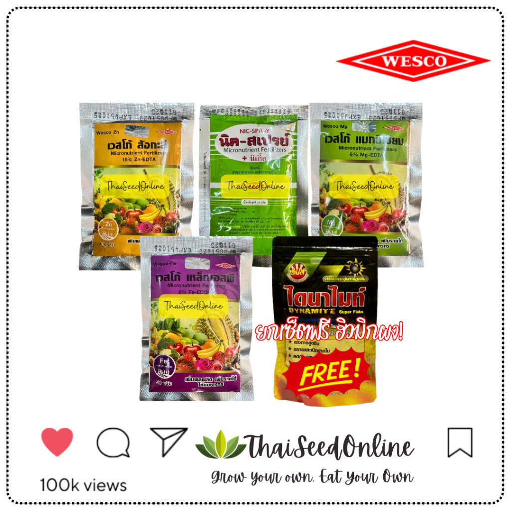 Wesco(เวสโก้) WESCO อาหารเสริม เหล็ก EDTA EDDHA นิคสเปรย์ แมกนีเซียม