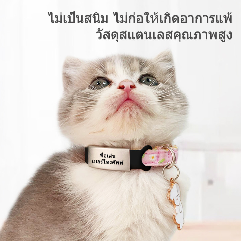 รูปภาพ 8