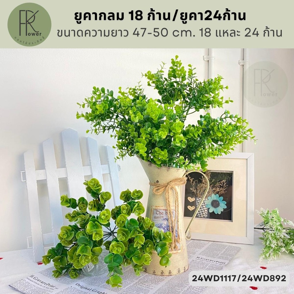ยูคากลม 18 ก้าน/ยูคา24ก้าน ขนาดความยาว 47-50 cm. 18 แหละ 24 ก้าน
